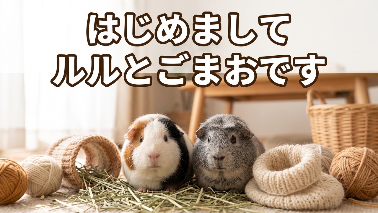 はじめまして