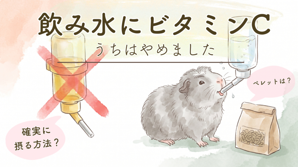 モルモットの飲み水にビタミンC、うちはやめました