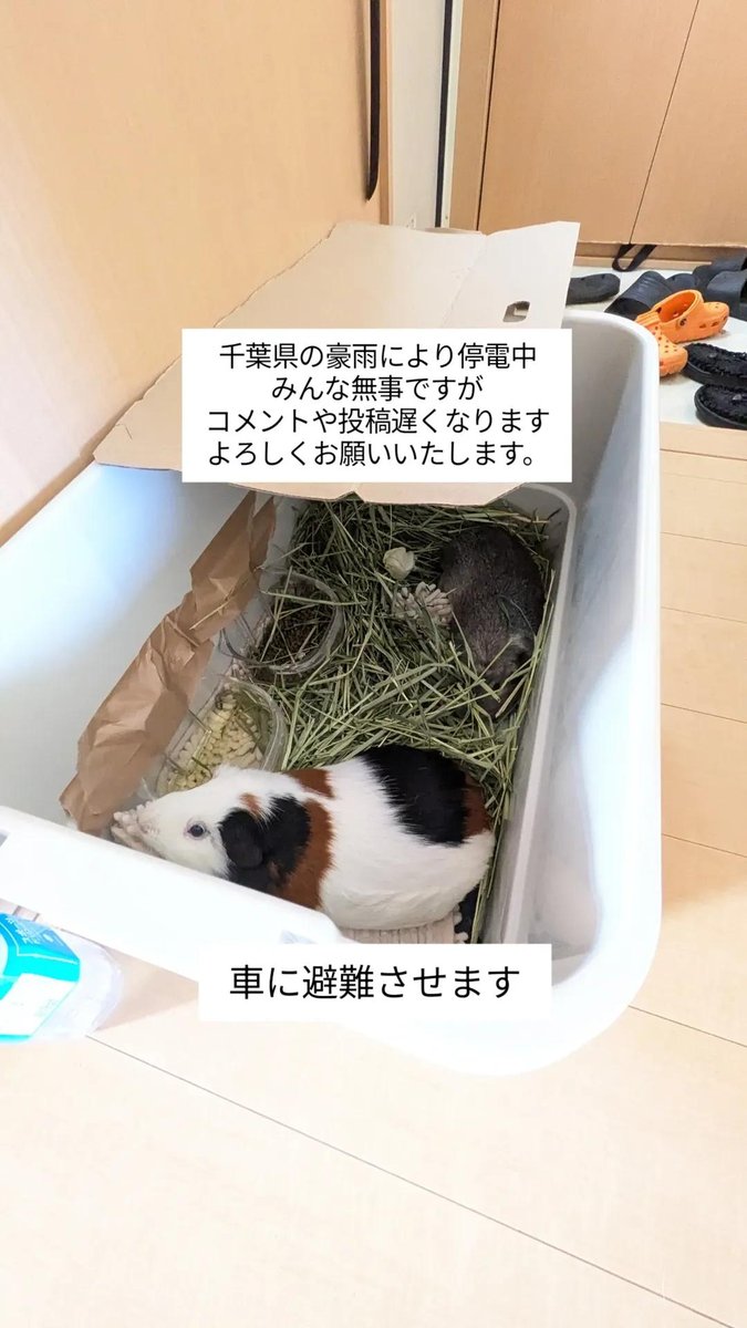 停電中に投稿したインスタのストーリーズ