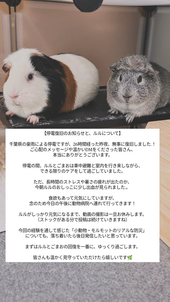 停電復旧を報告したインスタのストーリーズ