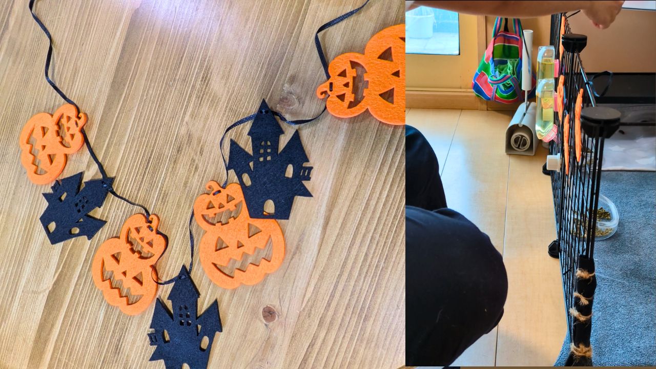 完成したハロウィンガーランドと、ケージに取り付けているところ