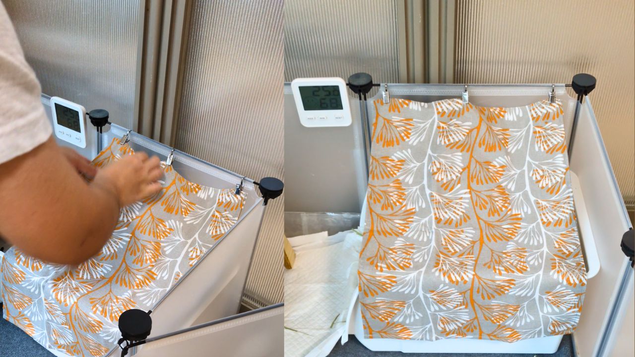 手ぬぐいをモルモットのトイレの屋根としてかけているところ