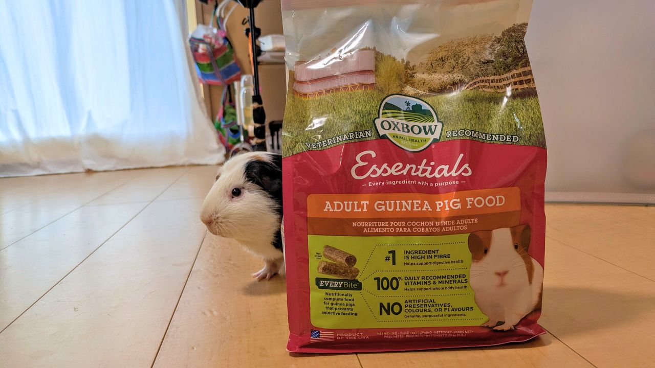 最近切り替えたOXBOW