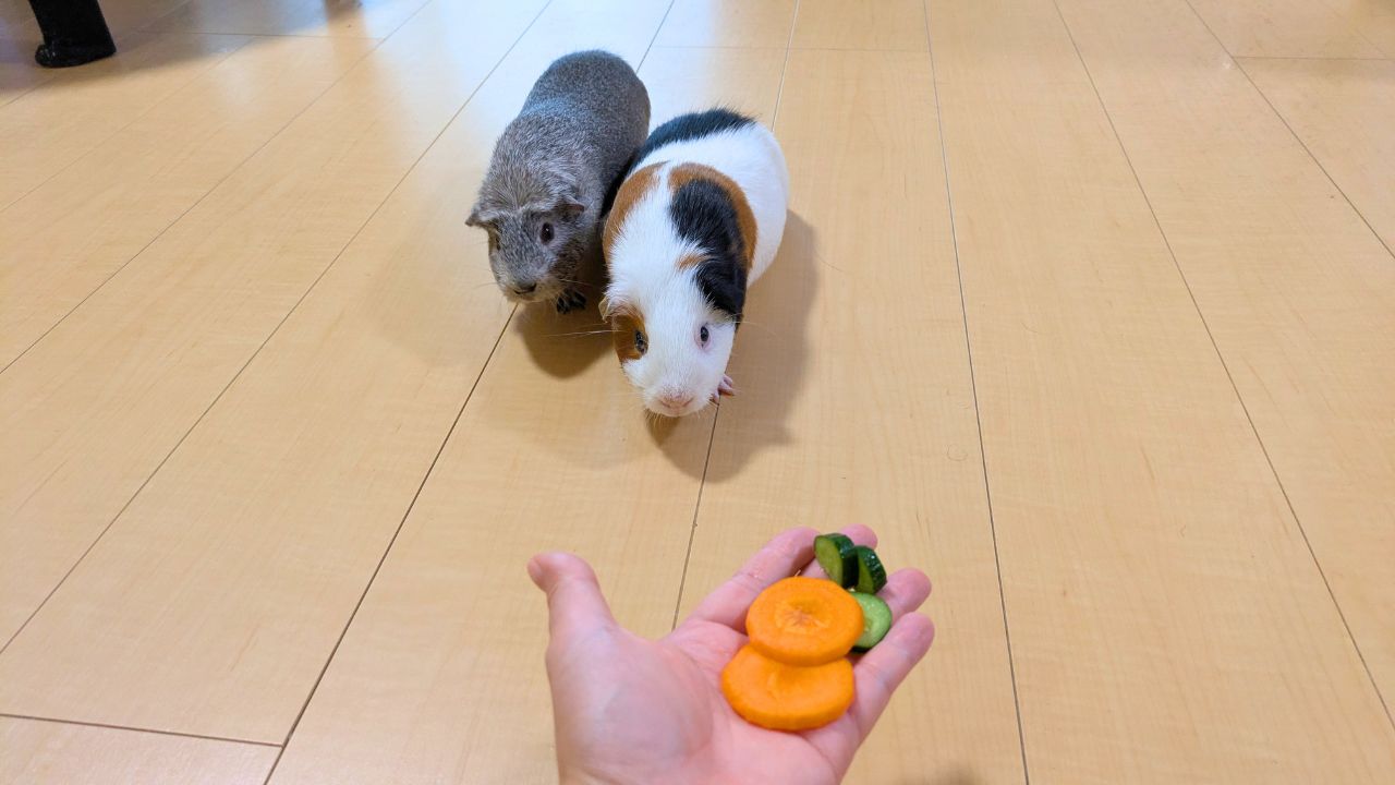 夕飯の野菜タイム