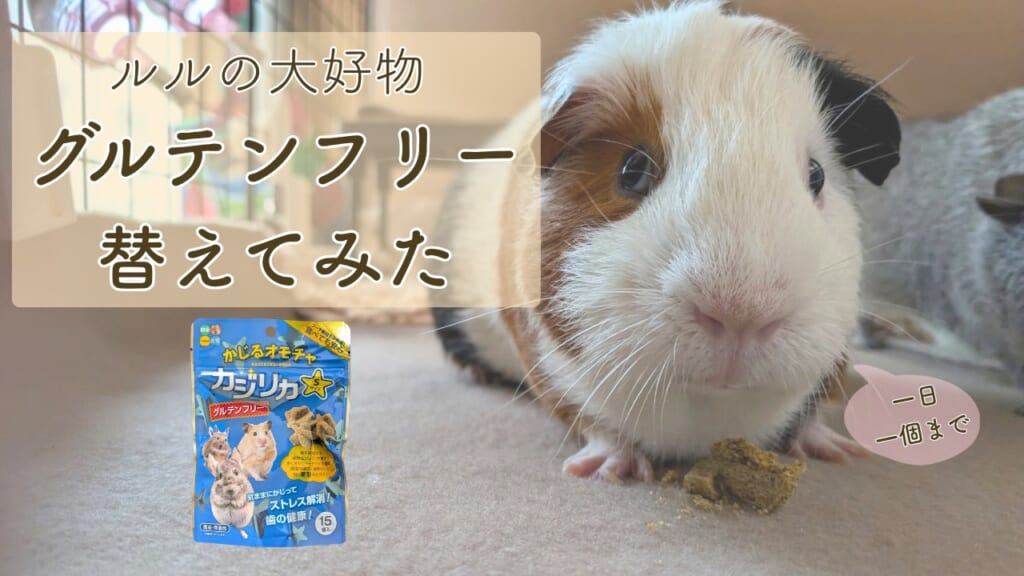 ルルの大好物カジリカX、グルテンフリーに替えてみた