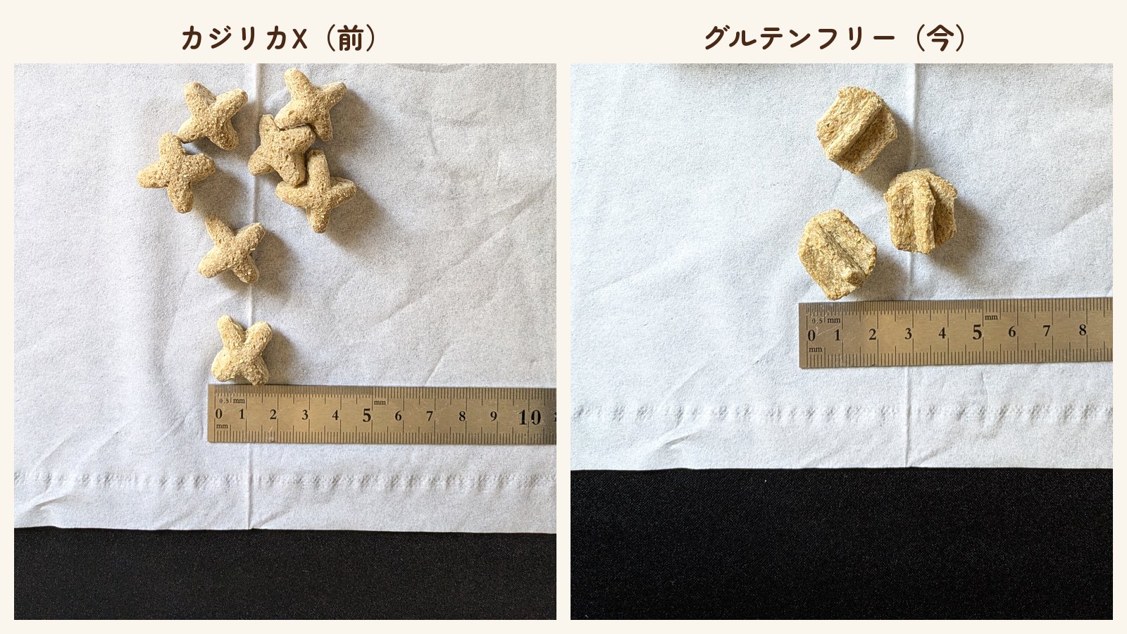 X型と星型のかじるおもちゃを定規の横に並べた写真