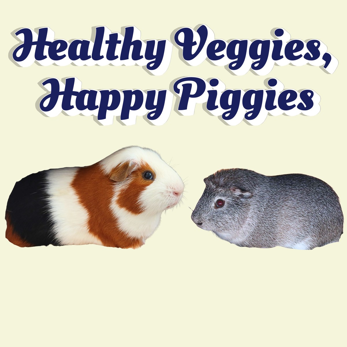 Healthy Veggies, Happy Piggiesの文字と、向かい合うルルとごまおの写真